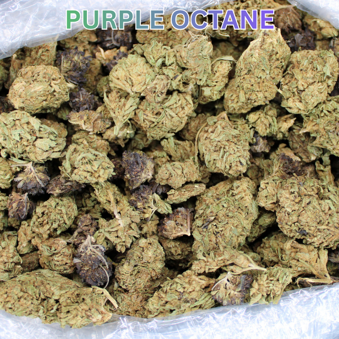 Cheap THCA Flower Pound