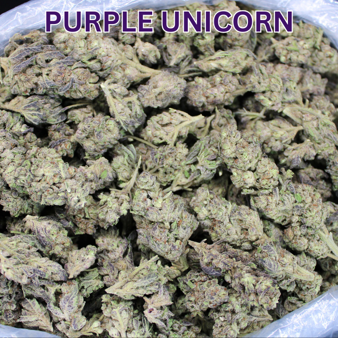 Purple Unicorn THCA Flower