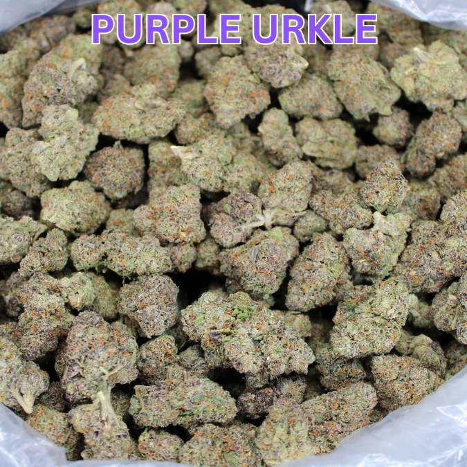 Purple Urkle Exotic THCA Flower