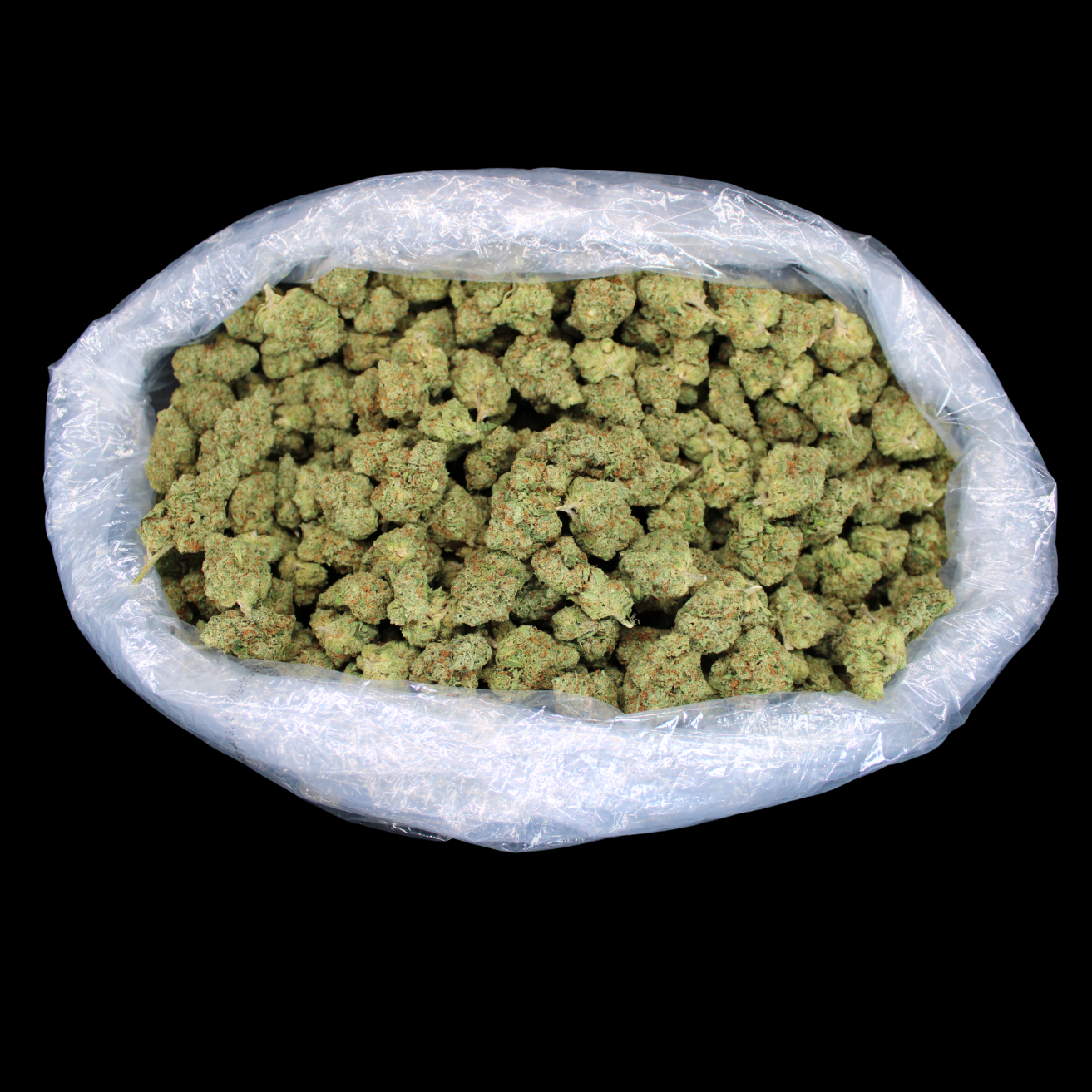 Royal Gelato THCA Flower