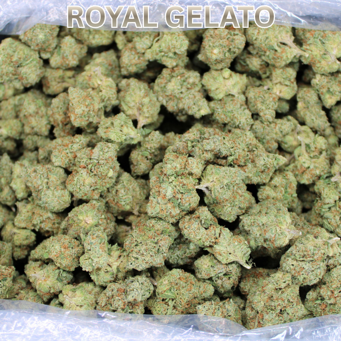 Royal Gelato THCA Flower