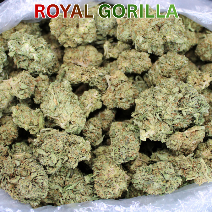 Royal Gorilla THCA Flower