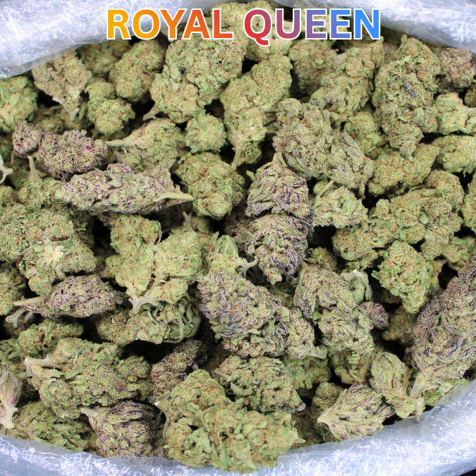 Cheap THCA Flower Ounce