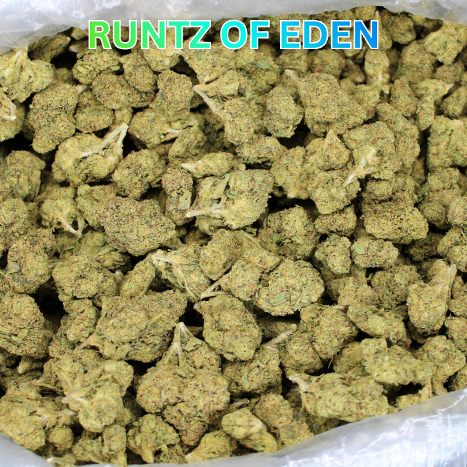 Runtz Of Eden THCA Flower