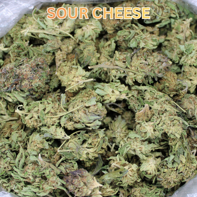 Bulk THCA Flower Pounds