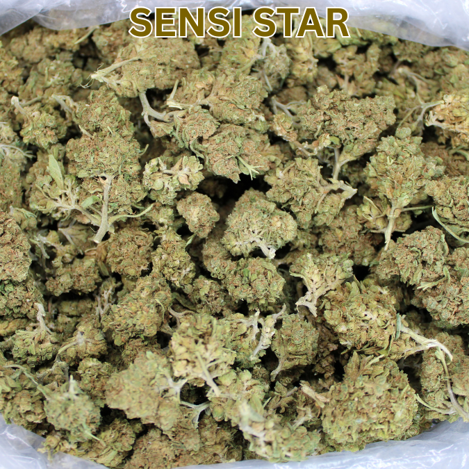Cheap THCA Flower Ounce