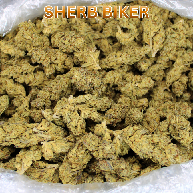 Cheap THCA Flower Pound