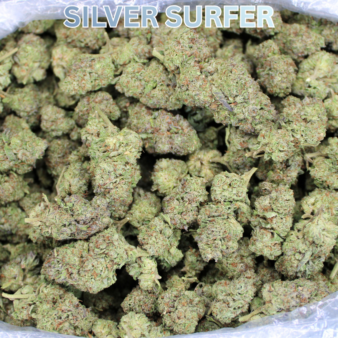 Silver Surfer THCA Flower