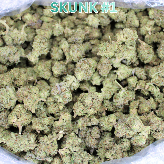 Light Assist THCA Smalls