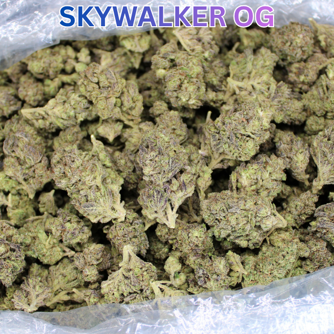 Skywalker OG THCA Flower