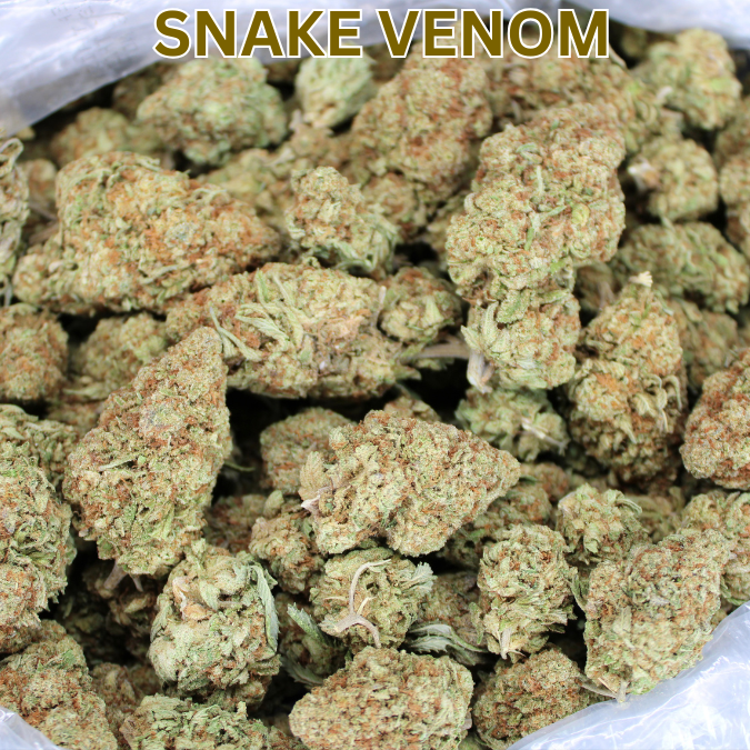 Snake Venom THCA Flower