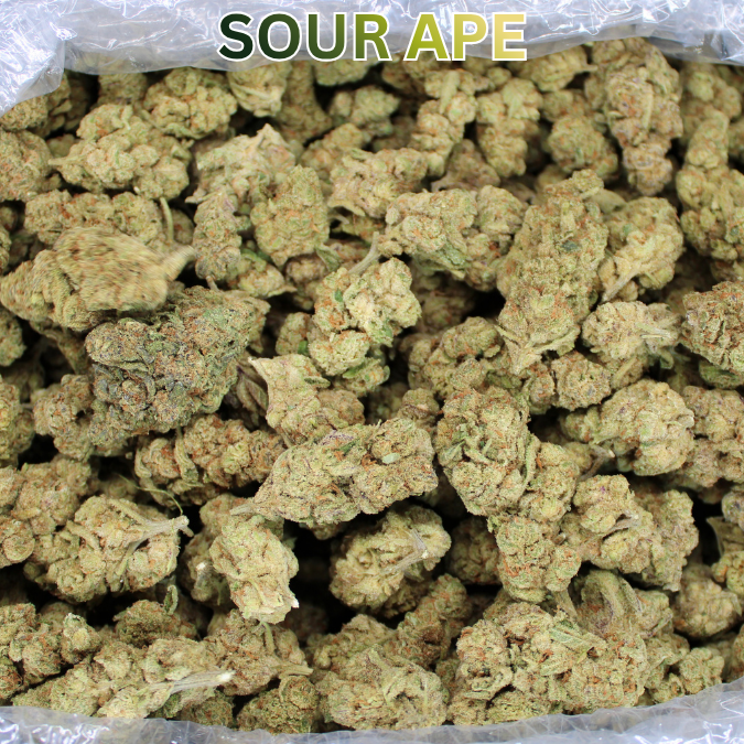 Cheap Indoor THCA Flower Ounce