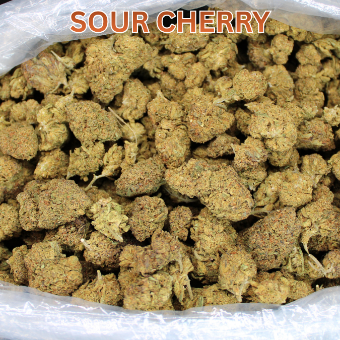 Cheap THCA Flower Pound