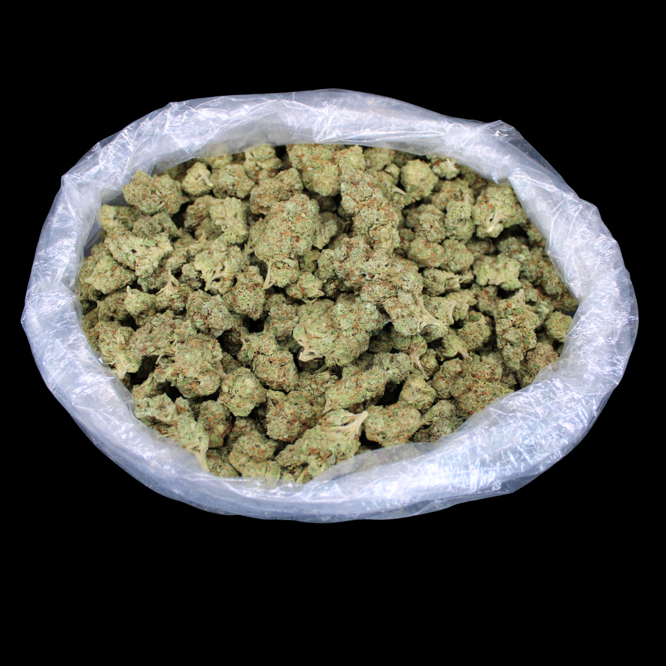 Sour Headband THCA Flower