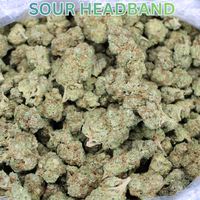Sour Headband THCA Flower