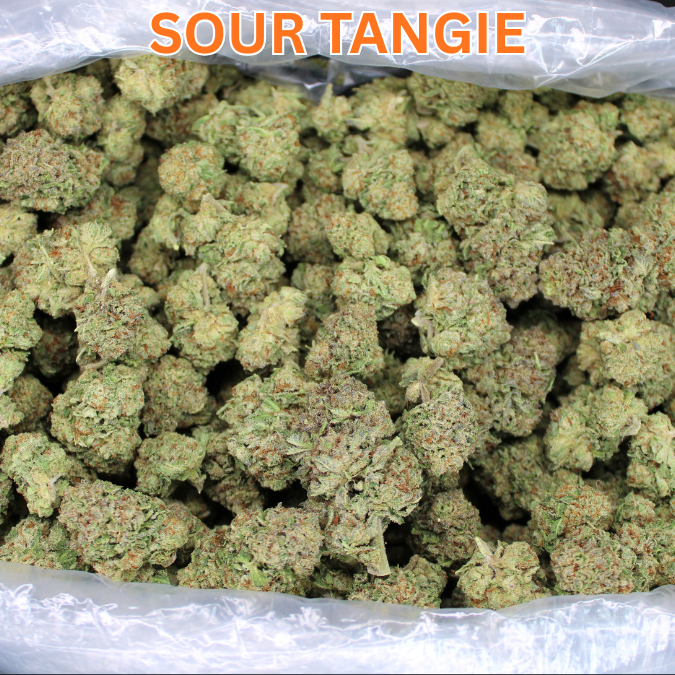 Sour Tangie THCA Flower