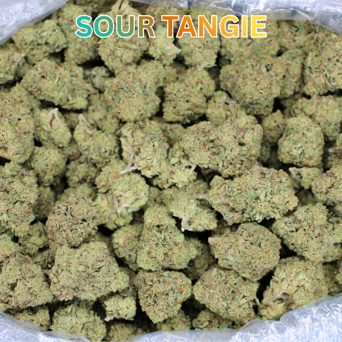 Sour Tangie THCA Flower