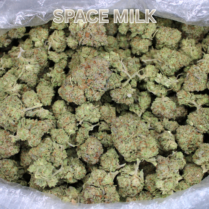 Cheap Indoor THCA Flower Ounce