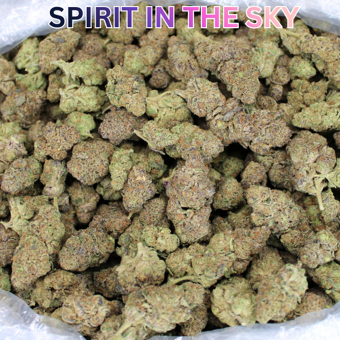 Cheap Indoor THCA Flower Ounce