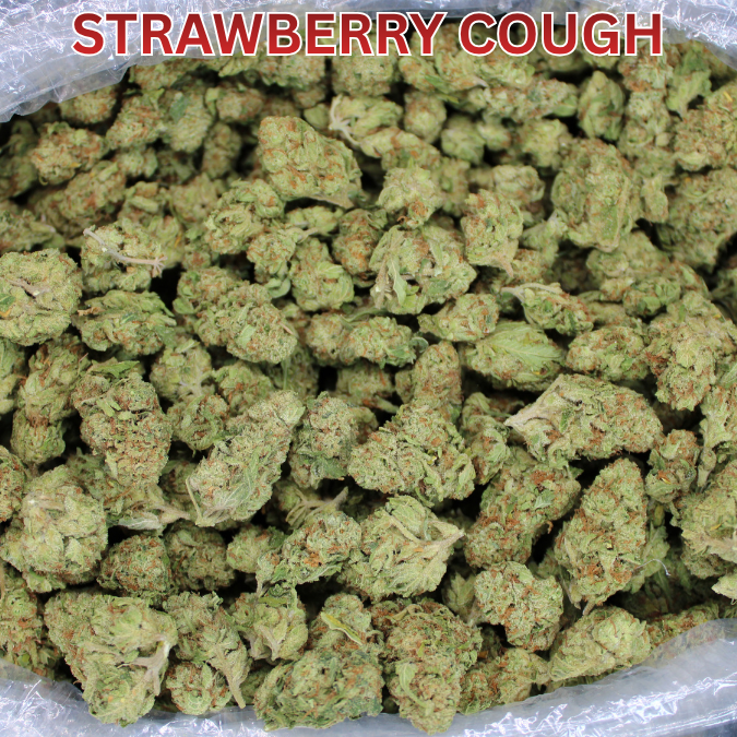 Strawberry Cough THCA Flower