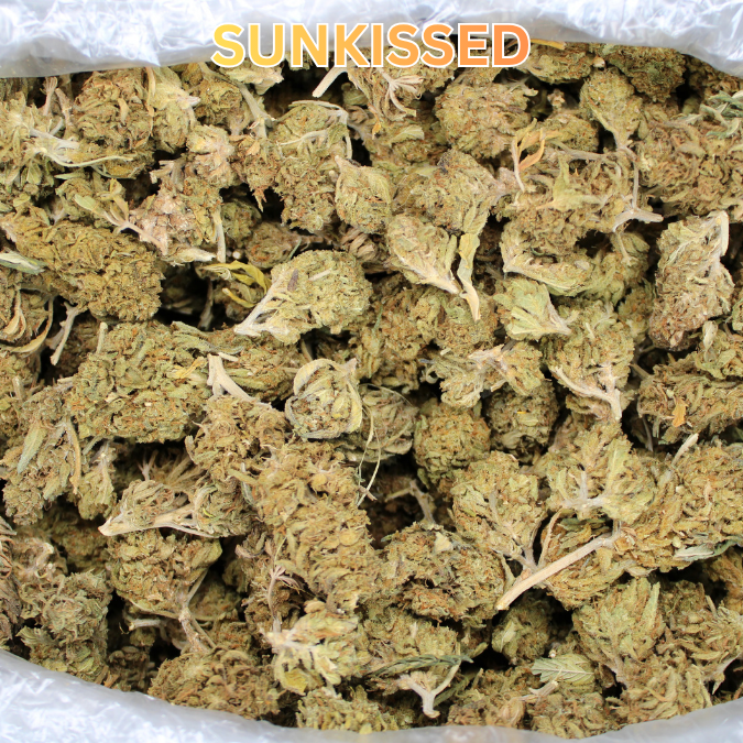 THCA Flower Budget Buds