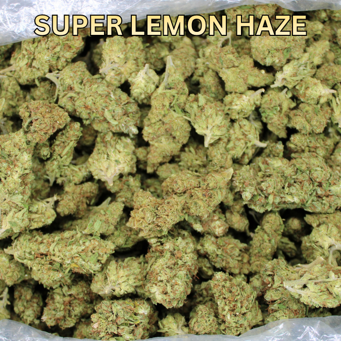 Cheap Indoor THCA Flower Ounce