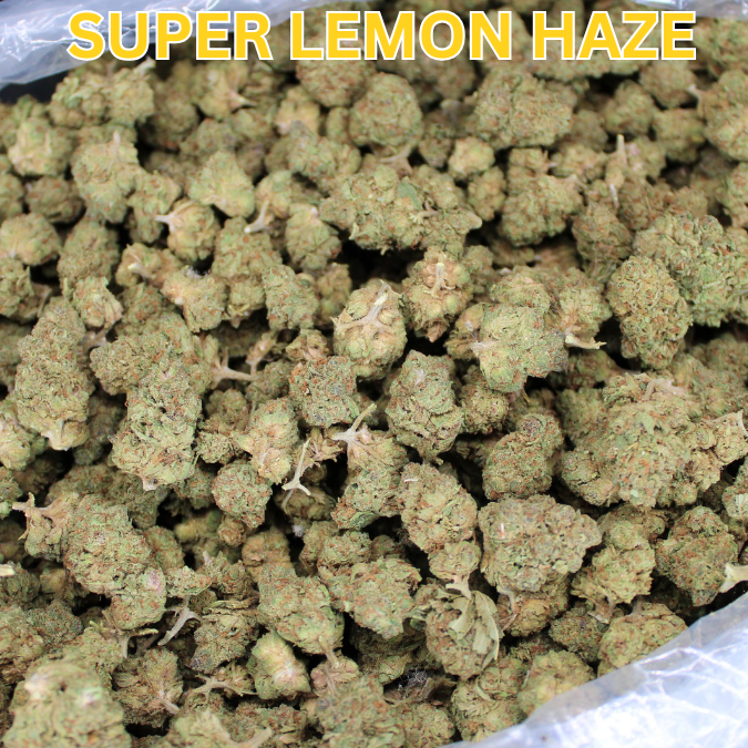 Cheap THCA Flower Ounce