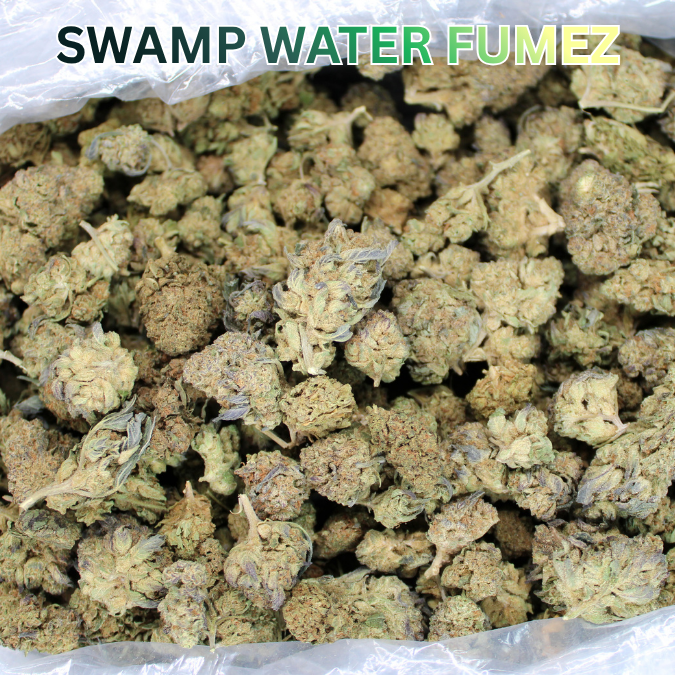 Cheap THCA Flower Ounce
