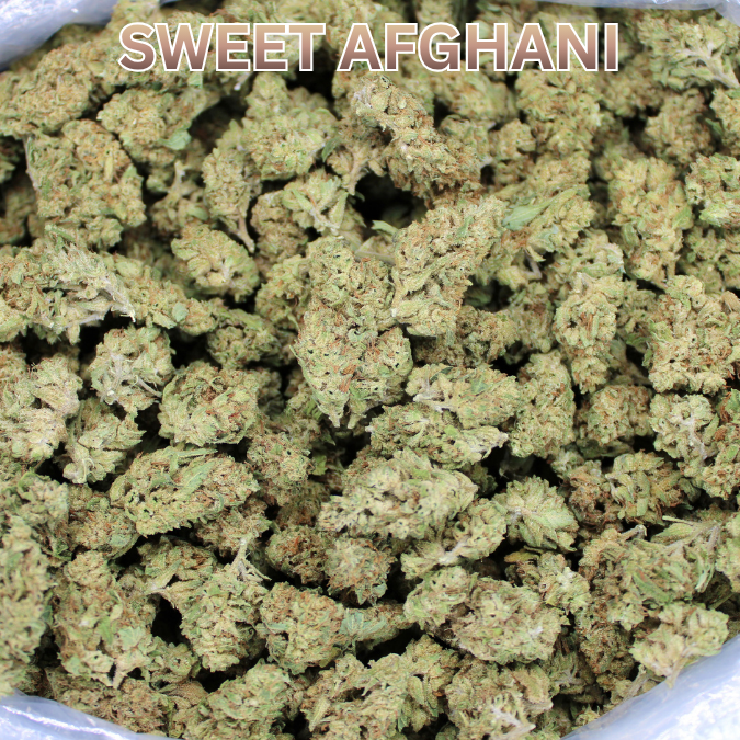Cheap THCA Flower Ounce