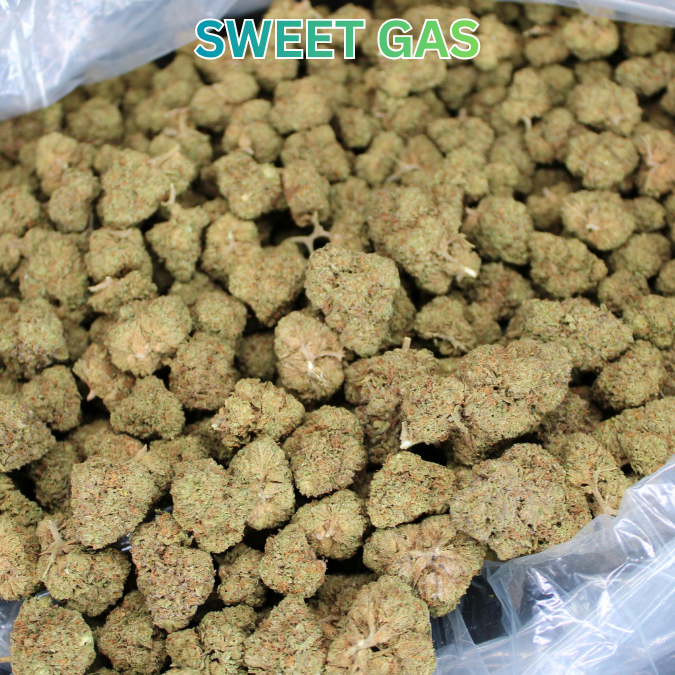 Sweet Gas THCA Flower