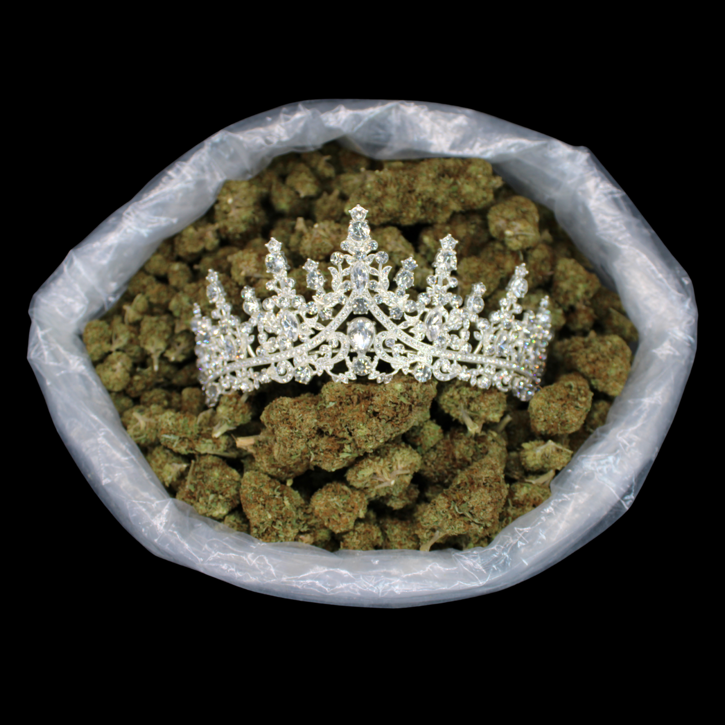 THCA Queen