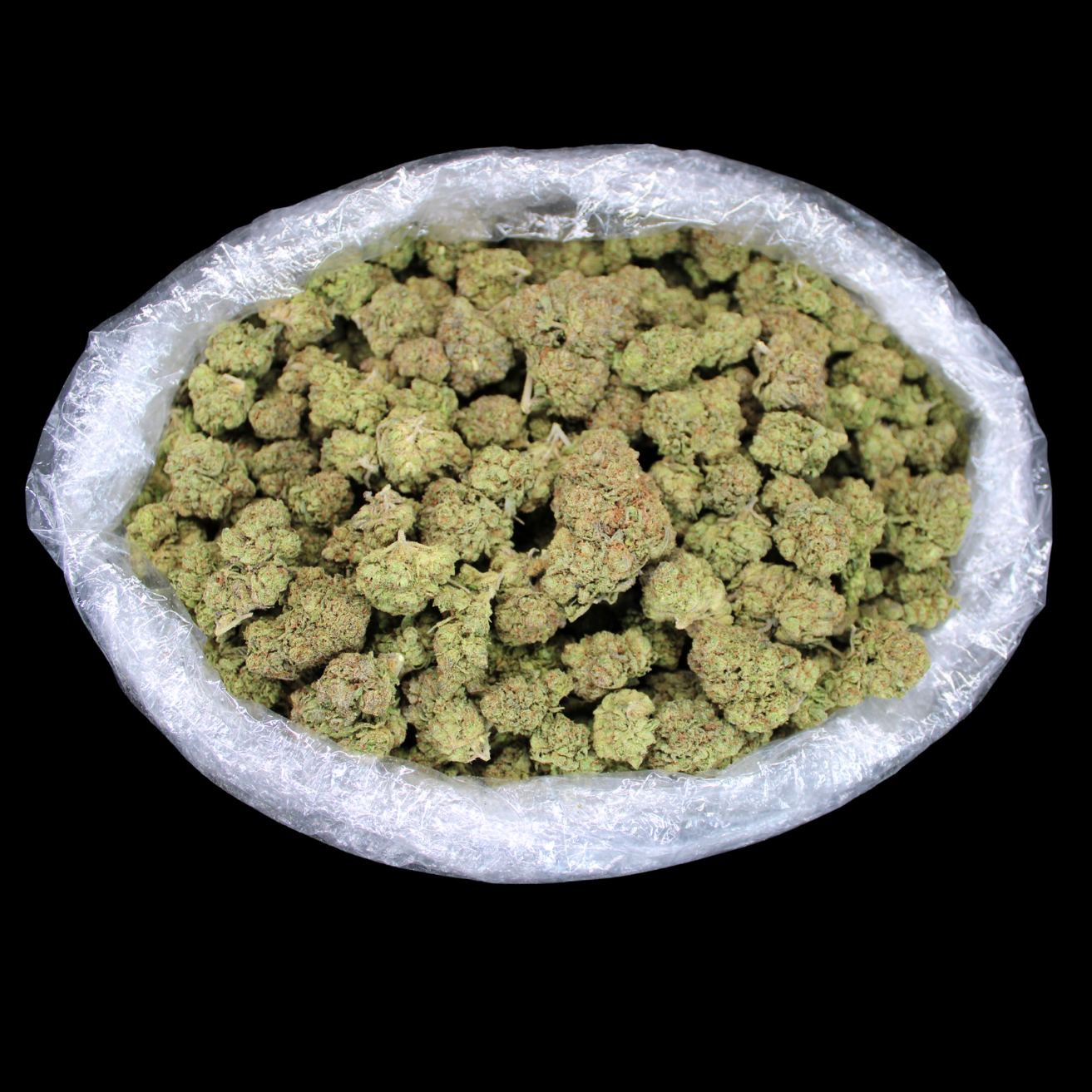 THCA Queen