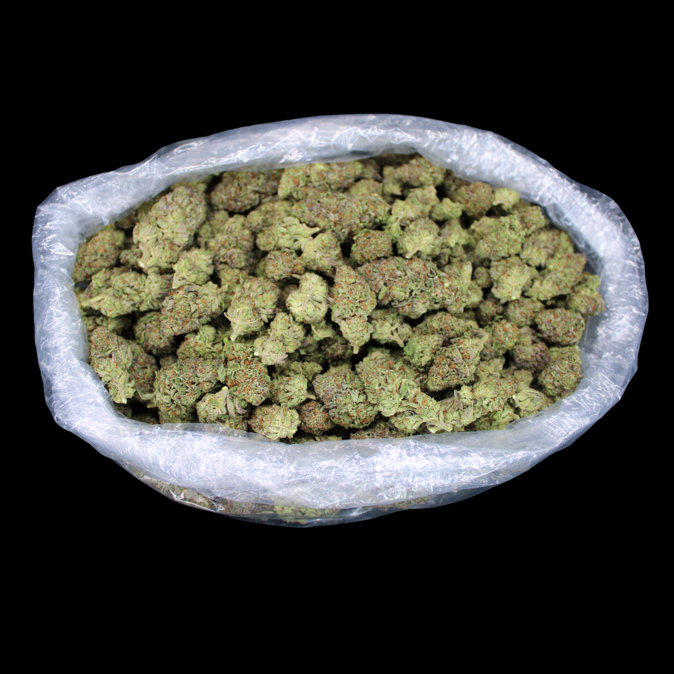 THCA Queen