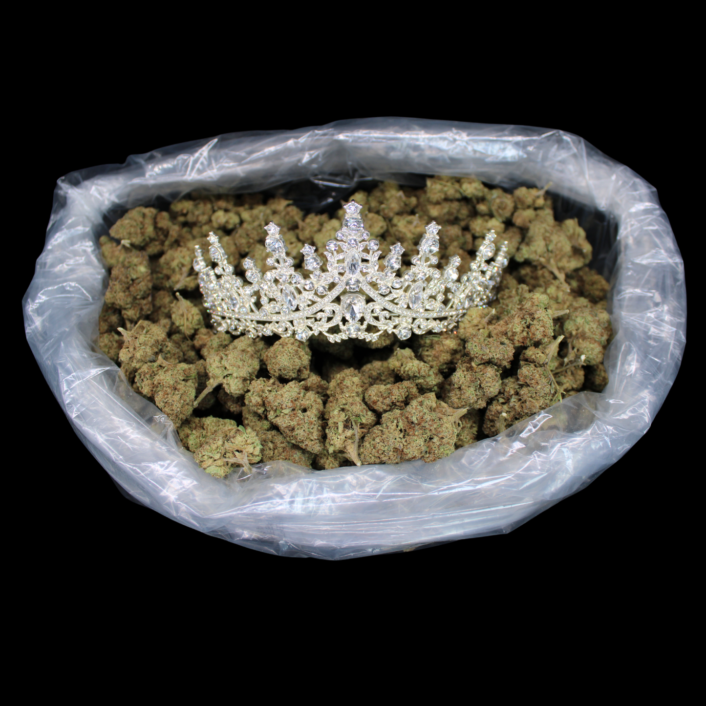 THCA Queen