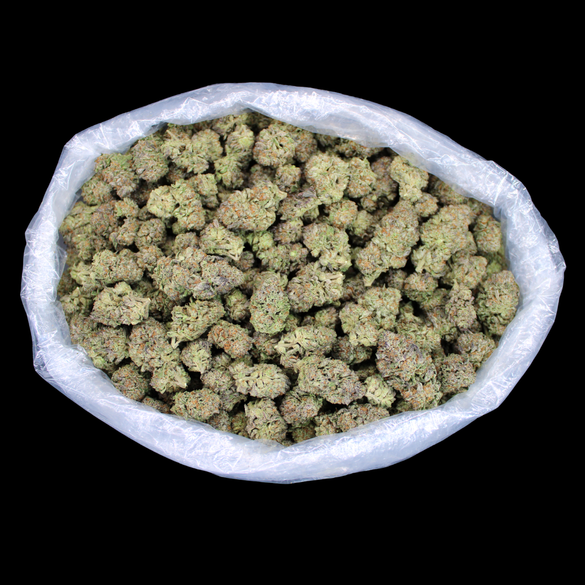 THCA Queen