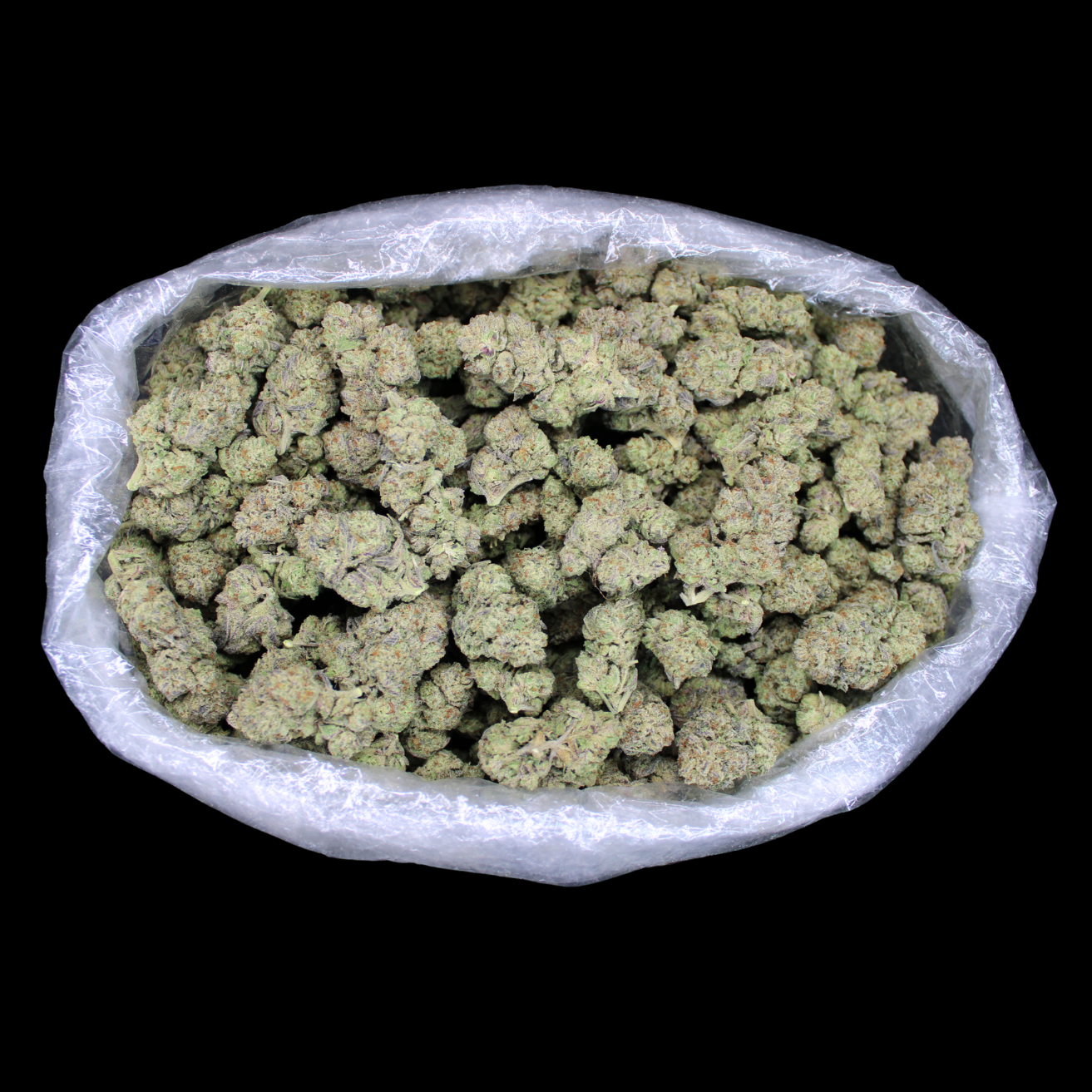 THCA Queen