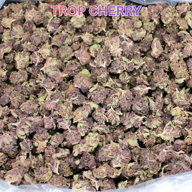 Cheap THCA Smalls Ounce