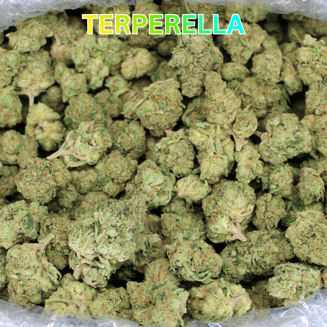 Cheap Indoor THCA Flower Ounce