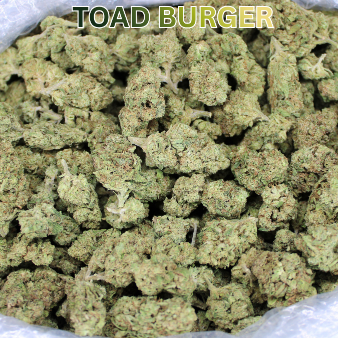Toad Burger THCA Flower