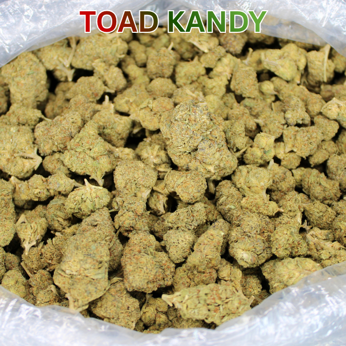 Toad Kandy THCA Flower