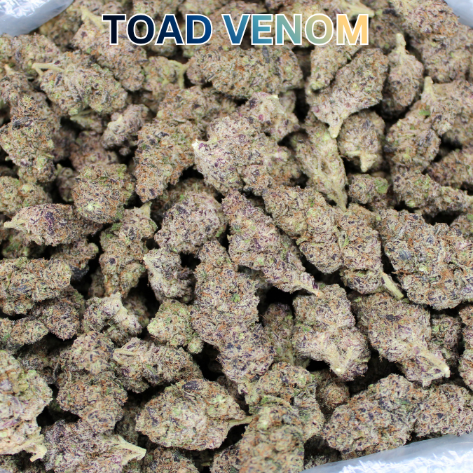 Toad Crossing THCA Flower