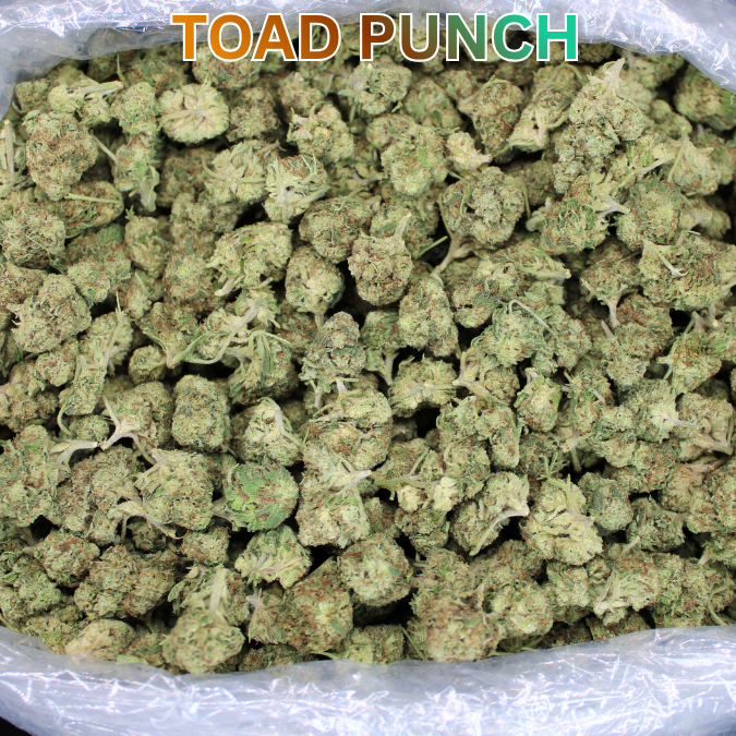 Toad Crossing THCA Flower - Cheap Oz