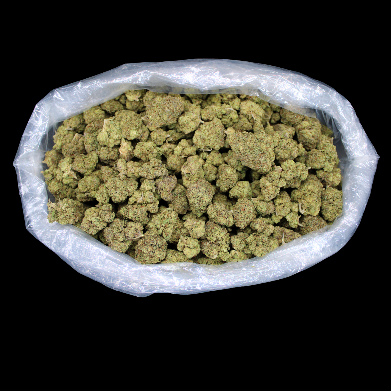 Toadlato THCA Flower