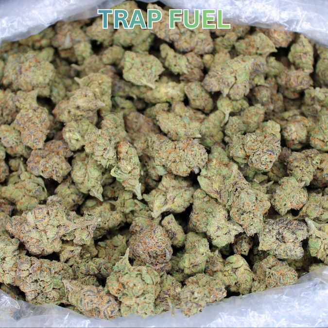 Cheap Indoor THCA Flower Ounce