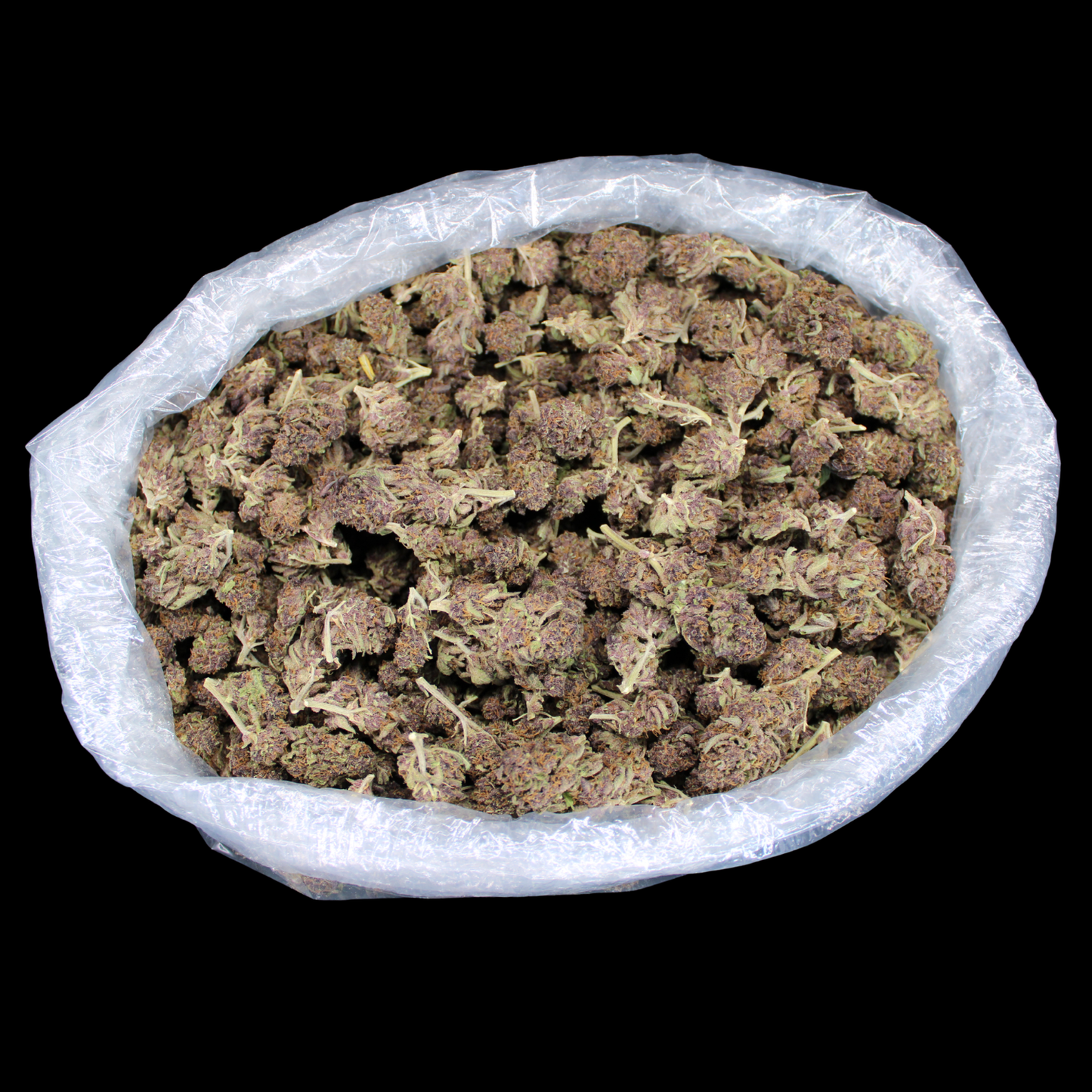 Tropicana Cherry THCA Flower
