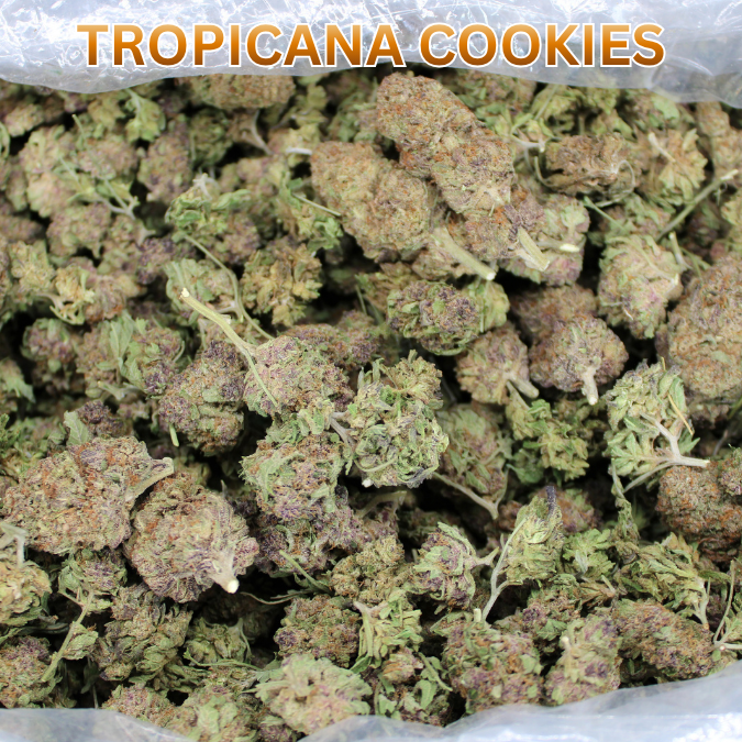 Cheap THCA Flower Quarter Pound