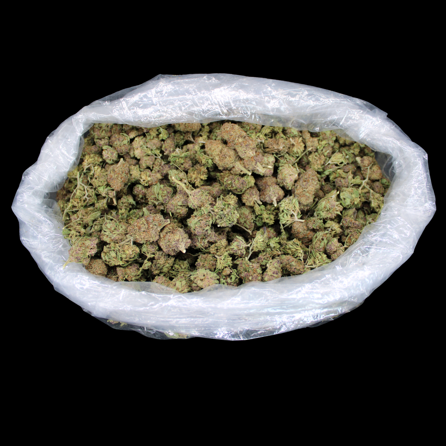 Cheap THCA Flower Quarter Pound