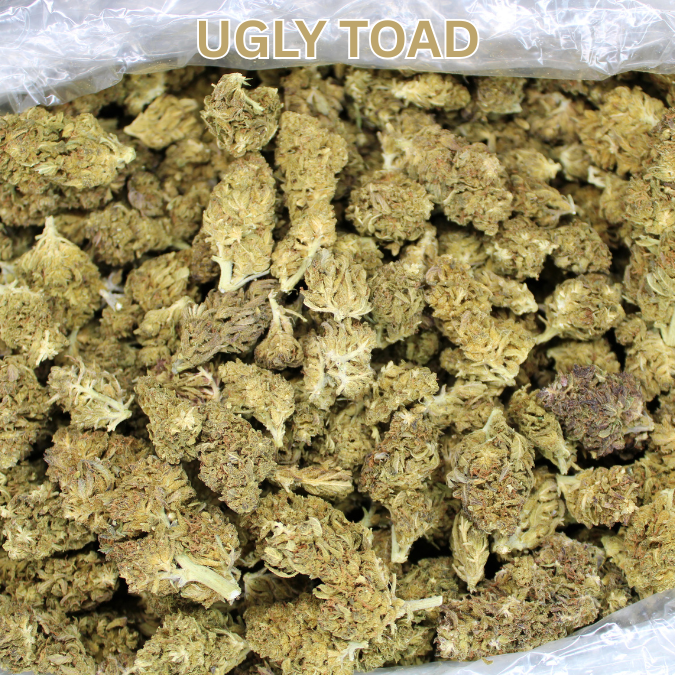 Cheap THCA Smalls Pound