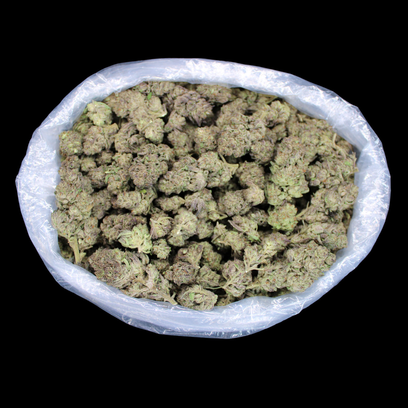 Velvet Cream THCA Flower