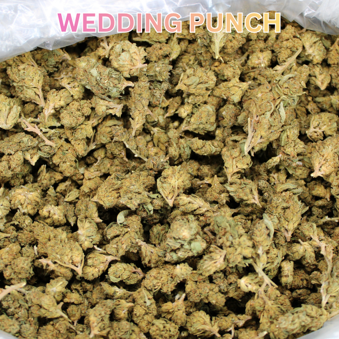 THCA Flower Budget Buds